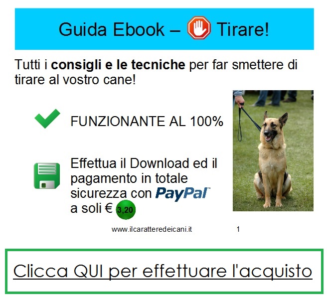 guida ebook smetti di tirare