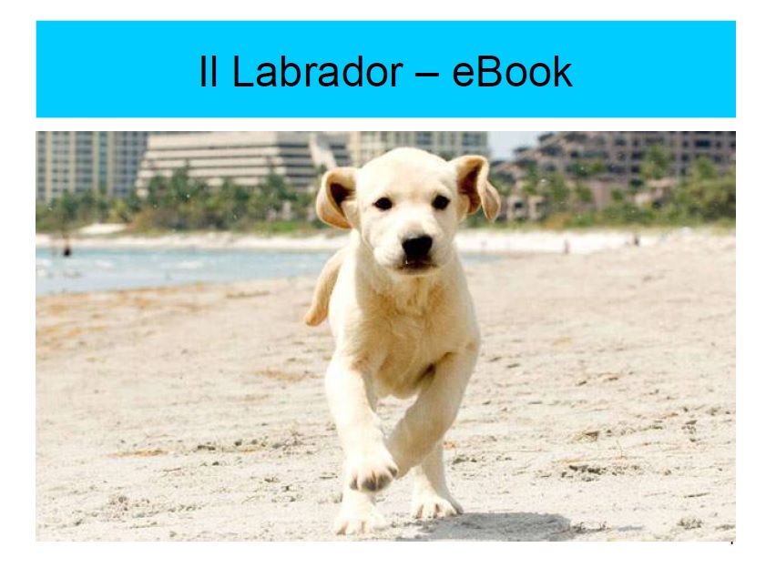 labrador ebook