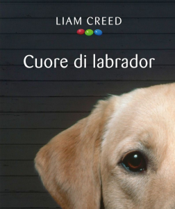 cuore di labrador