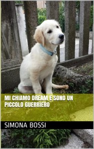 mi chiamo dream e sono un piccolo guerriero